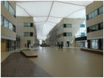 Zayed University
